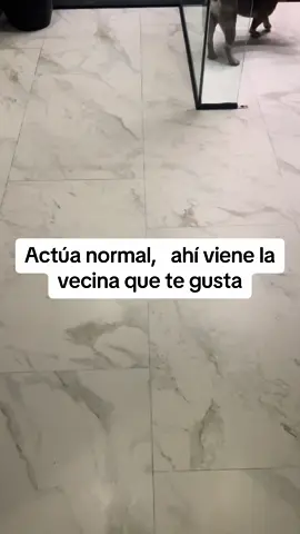 Siempre natural brother👀📻#tiktok #frases_aesthetic #comedia #actuanormalahivienetucrush  #vecina 