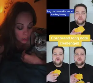 #duet with @Tim Waurick #fyp all hail cornbread! #cornbread #kitties #shenanigans 