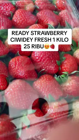 Ready strawberry fresh bgt 1kg only 25rb/kg manis seger yukk silahkan diorder  #strawberry #fyp #fypシ #fypシ゚viral #strawberryfresh #buahbuahan #buahfresh #buahsegar #naomibuahsegar 