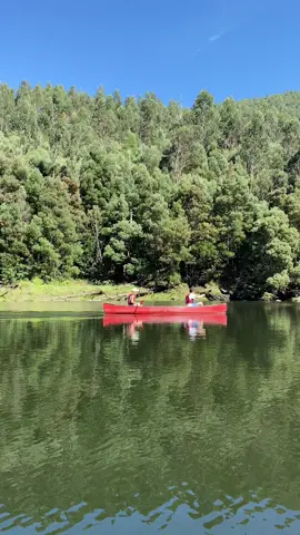 No better place 🤍 #viral #nature 