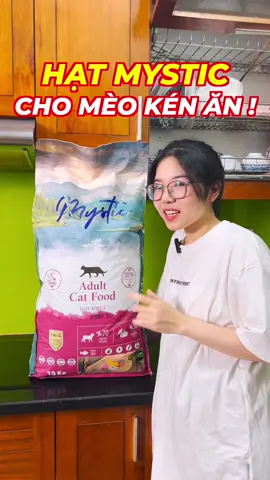 Mèo kén ăn phải dùng loại này #limmeo #hatchomeo 