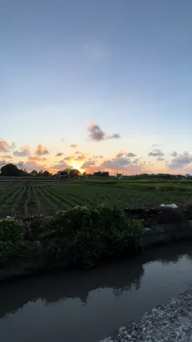 🏍️🍃✨