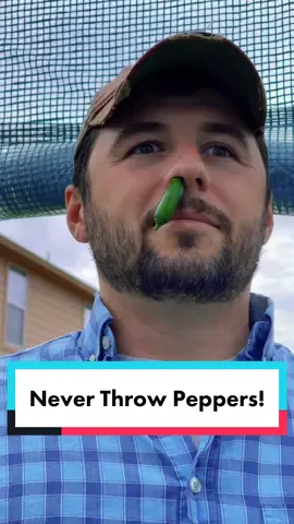 Never Throw Hot Peppers! featuring @Farmer.Froberg #pepper #pepperplant #pepperplants #hotpepper #garden #texasgarden #texasgardenguy #farmerfroberg #texasgardening 