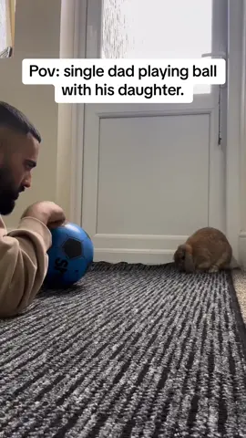 One day she’ll make an excellent goal keeper #PetsOfTikTok #foryou #animalsoftiktok #pets #animal #fypシ #trending #singledad #men #beard #bundad #catdad #dogdad #foryoupage #rabbit #bunny #pet #animals 