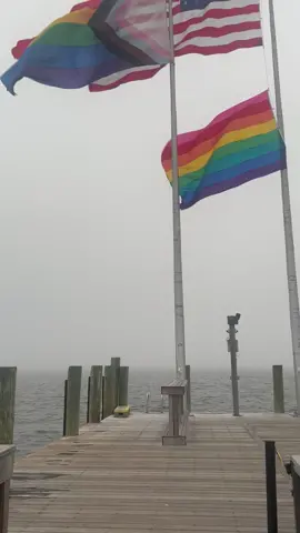 Cherry Grove Flags on a beautiful cloudy summer day at the ferry  NY #fyp #viral #trending #meme #Summer #cherrygrove #ny #beach #fireisland #ferry #lbqt🌈 #port ©️judijupiter2023