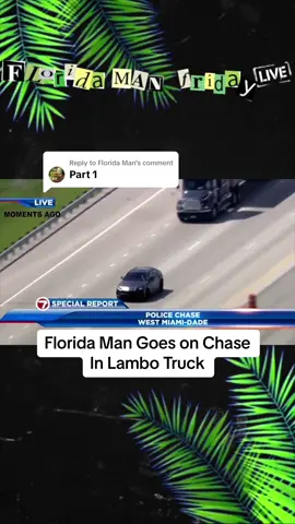 Replying to @Florida Man #floridaman #floridacheck #grandturismo 