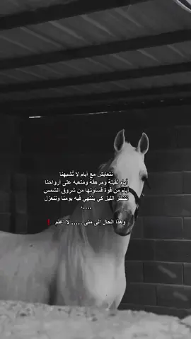 #حسبي_الله_ونعم_والوكيل  #fybシ #تركيا 