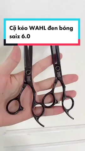 Cặp kéo WAHL đen bóng saiz 6.0, cắt bao phê #keocattoc #keocattocnamcaocap #keocattocnhatban #xuhuongticktock2023 