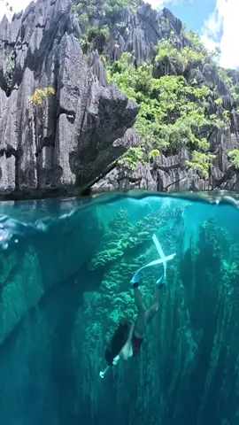 Barracuda lake freediving fun dive 🌊 Guy’s if you are looking for underwater photographer here in coron,palawan you can messages me on my instagram @freediverguidecoron #underwaterphotography #underwatervideography #underwaterworld #freediverbuddy #freedivingfundive #philippines #barracudalake #coronpalawan #gopro #gopro11 #underwaterphotographer #underwatervideographer #oceanlife 
