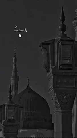 Zah E Muqadar Naat video short reel trending #viral #viralvideo #foryou #islam #naat #allah #unfreezemyacount #foryoupage #trendingnow  #madina #fyp 