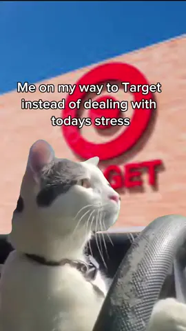 cause get somebody else to do it. immediately. 