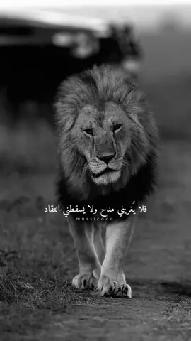🤚🏻#اقتباسات #انا_القرار #اغاني #موسيقى #حالات_واتس #اقتباسات #اكسبلورexplore #فوريووو #قوية_كالأسد #viralvideo #foryoupage #explor #تصاميم_فيديوهات #تصاميمي #لايك__explore___ 