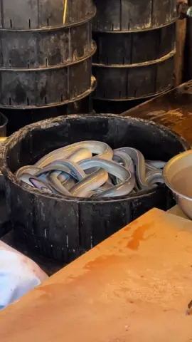 千葉県成田市にある捌きたてのうな丼が味わえる老舗うなぎ専門店！ちょっと値は張るけど、特別な日のご飯に是非！ 「川豊本店」 (Kawatoyo) 📍千葉県成田市仲町386  (386 Nakamachi, Narita-shi, Chiba ) #japanesefood #japanfood #japan #tiktokfood #千葉グルメ