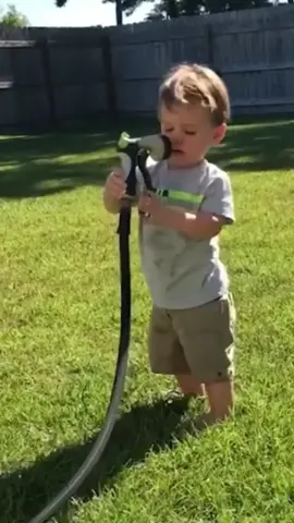 The last one🤣🤣🤣#fyp #scareprank #prank #laugh #funnyvideos #funny #baby #animals #kids #funnyvideo 
