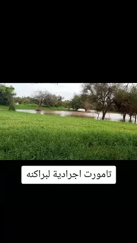 تامورت اجرادية #لبراكنه #خريف_2023🇲🇻  #نواكشوط_موريتانيا🇲🇷🇲🇷🇲🇷🇲🇷🇲🇷  #مشاهير_تيك_توك 