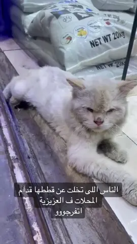 حسبى الله و نعم الوكيل