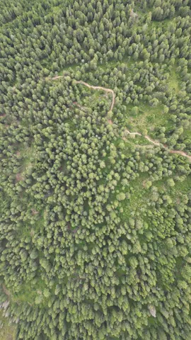 🇬🇧 This drone footage offers a striking overhead view of a healthy mixed forest in the Dolomites. From a bird's-eye perspective, the diversity of trees and the dense interplay of conifers and deciduous trees become apparent. The forest, a vital habitat for numerous animal species, attests to the ecological richness of the region. The patterns, colors, and textures of the forest provide a visual symphony that showcases nature in its purest form. A natural masterpiece that emphasizes the importance of sustainability and conservation. 🇩🇪 Diese Drohnenaufnahme bietet eine beeindruckende Draufsicht auf einen gesunden Mischwald in den Dolomiten. Aus der Vogelperspektive wird die Vielfalt der Bäume und das dichte Zusammenspiel von Nadel- und Laubbäumen sichtbar. Der Wald, ein vitaler Lebensraum für zahlreiche Tierarten, zeugt von der ökologischen Reichtum der Region. Die Muster, Farben und Texturen des Waldes bieten eine visuelle Symphonie, die die Natur in ihrer reinsten Form präsentiert. Ein Kunstwerk der Natur, das die Bedeutung von Nachhaltigkeit und Naturschutz unterstreicht. #MixedForest #Dolomites #ItalianAlps #DroneView #AerialShot #Forest #Ecosystem #Nature #TravelItaly #DronePhotography #Sustainability #Conservation #ItalyFromAbove #Trees #DroneImages 