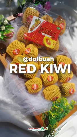 Buah ini dikenal dengan sebutan red kiwi, dan sesuai dengan namanya kiwi ini memang berwarna merah cerah jika sudah matang. Ternyata bukan hanya warnanya saja yang menarik tapi kiwi merah ini juga punya rasa berry yang manis dan nikmat.  Buah kiwi merah juga mengandung zat anthocyanin yang tak dimiliki kiwi hijau maupun kiwi kuning. Zat anthocyanin berperan aktif sebagai antioksidan yang membantu menjaga kesehatan jantung. Kini kiwi merah masih jarang ditemui karena belum dibudidaya secara luas. Sekarang, red kiwi tersedia di @dolbuahgo ya, yuk serbu sebelum kehabisan😍 #kiwi  #redkiwi  #kiwimerah  #buah  #healthyfood  #healthylifestyle  #healthyfruit  #manfaatbuah  #buahsemarang  #buahpremium  #buahpremiumsemarang  #dolbuah  #dolbuahgo  #dolbuahgosemarang