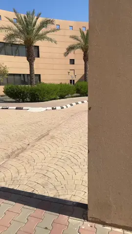 #كلية_التقنية_بنات #جامعة_حائل 