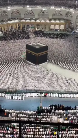 Had it not been for the movement of people between the rows, I would have thought it was a picture Beautiful and majestic clip  Sheikh #بندر_بليلة  #makkah #makkahlive #saudiarabia🇸🇦 #makkah614  @Helin Lingua @Makkah Madina 
