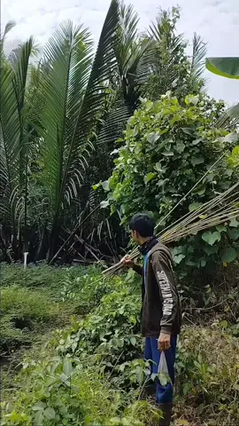 nemu spot baru dapat ikan sombong #doboyjoss #petualangan 
