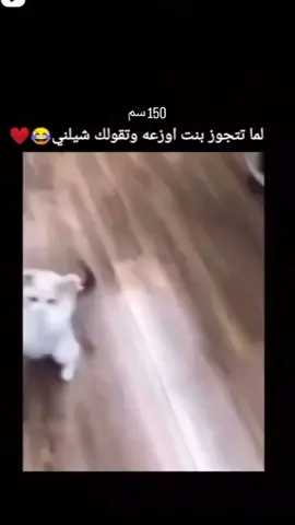 #ضحك  #البحراوى❤️😍❤️😍❤️😍❤️ لما تجوز واحده ازعه شبر ونص🤣🤣🤣🤣🤣🤣🤣🤣🤣