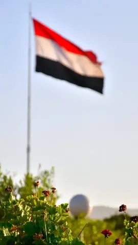 علم اليمن يرفرف بدون حقوق