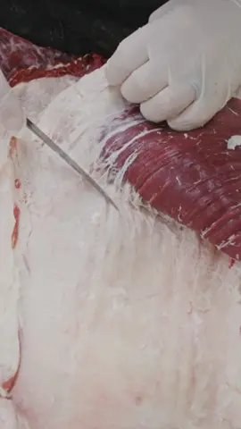 Pulling a beef flank steak 🥩 so satisfying 🔥  #video #viral #trending #foryou #fyp #bbq #meat #tiktok #thebeardedbutchers #youtube #butcher 