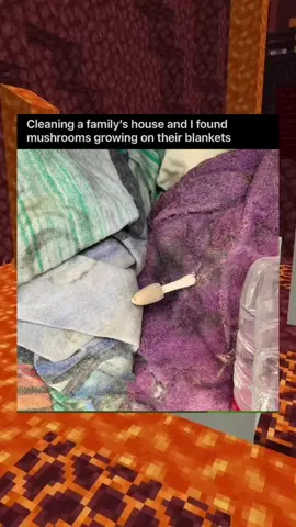 Mildly Interesting!#Minecraft #meme #wholesome #wholesomememes #wholesomemoments 