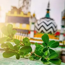 اعلیٰ حضرت والے ہیں ہم بریلی والے ہیں 
