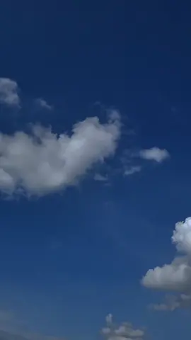 tumhay naya sathi Mubarak ho ☺#foryou #viralvideo #standwithkashmir #foryoupage #fyp 