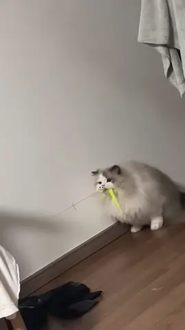 😂