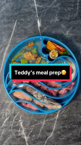 บางทีแม่ก็อยากแย่งลูกกินบ้าง🫣 . . . #foodprep #rawfeddog #สัตว์เลี้ยงtiktok #slowfeeder #rawfeeding #foodprepfordog #rawdietfordogs #rawdiet #petoftiktok #ดัชชุน #หมาน่ารัก #หมาตลก #หมา #อาหารหมา #บาร์ฟหมา #doglover #petlover #wienerdog #sausagedog #foryou #อร่อย 