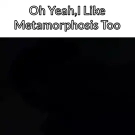 makin suka Metamorphosis (Yang Lagu) 😁 #meme #metamorphosis #metamorphosismanga #memestiktok #phonksongs #komedi #onepiece #onepiecememe 