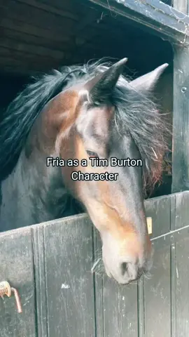 #CapCut #timburtoncharacter #horsesoftiktok #foryou #foryouviral 