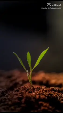 tanamlah terus kebaikan ,.. niscaya kebaikan juga yang akan kita raih... ☺️☺️