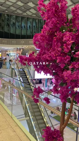 لا يا بعد لندن وباريس وجنيف🇶🇦❤️‍🔥                 #explor #qatar #dohatiktok #dohaqatar🇶🇦 