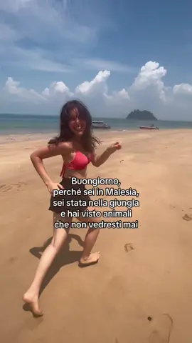 Indovinate che animali abbiamo visto?🤔