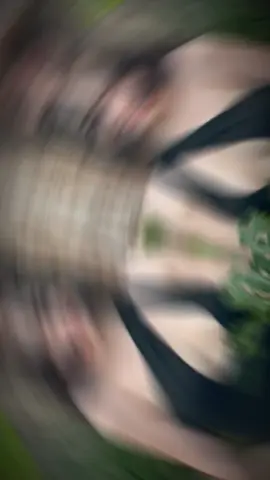 #CapCut 