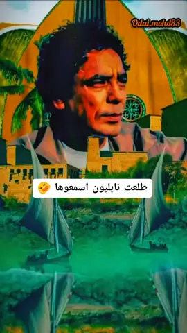 نعناع الجنينه مسقي في حيضانه#محمد منير نعناع الجينينه#الأردن_فلسطين_مصر_العراق_سوريا 