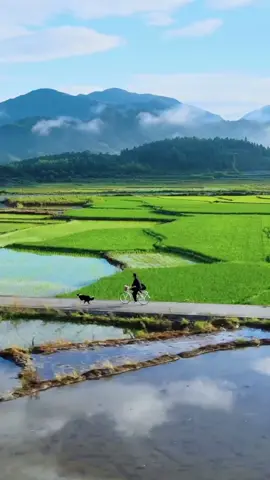 In summer, far from the hustle and bustle of city, bicycling across the countryside of Nanping City, happiness is so simple~ #Summer  #countryside  #China  #relax  #leisuretime  #cozy