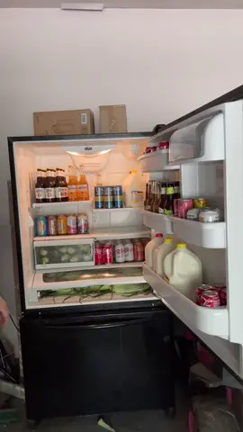 It’s all about controlling the chaos! #largefamily #partyprep #fyp #spinningdishes #organization #garagefridge 