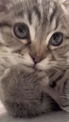🥰