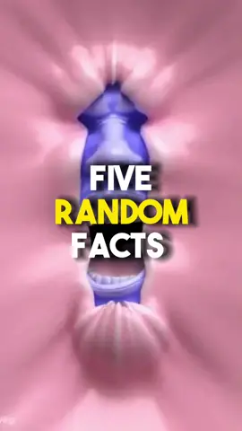 Do you know these random facts ? #facts #randomfacts #curiosity #satisfying #LearnOnTikTok #