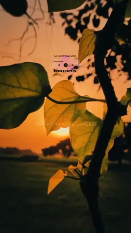 Thalles Roberto - Casa do Pai 🎶 #gospelnotiktok #louvoresbrasil #gospelsong #gospelparastatus #cristaosnotiktokbrasil #musicasgospelparastatus #musicasgospelparastatus #adoracaogospel #tiktokcristao #gospeledits #musicagospelparastatus 