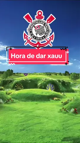 É  hora de dar xauuu!! #familiadaloiraedj #viralizandonotiktok #viralvideo #sucessonotiktok #zuandocorinthians 