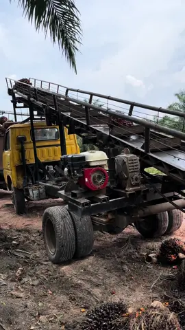 Membalas @Arief Juanda Masih tetap seperti biasa bang tidak ada potongan. #sawit #conveyor #buahsawit #muatsawit 