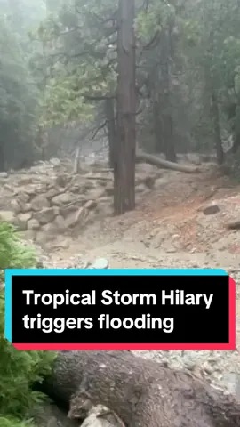 Tropical Storm Hilary triggered flooding during a day of heavy rainfall in the San Bernardino County mountains.⁠ ⁠ Video captured boulders, mud and tree branches flowing down downhill and onto a road in Forest Falls. A low rumble could be heard as the rockslide carved its way through the forest.⁠ ⁠ The storm, once a Category 4 #hurricane off Mexico's Pacific coast, dropped eight to 12 inches in Southern California mountain communities before it began moving out Monday.⁠ ⁠ Visit nbcla.com for more info on storm damage and cleanup. #nbcla #TropicalStormHilary #HurricaneHilary #SanBernardinoCounty #ForestFalls 