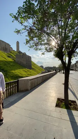 Is there anything better than morning walks next to the #Aleppo Citadel! 🏰 في أحلى من تمشاية الصبح جنب قلعة #حلب! Credits: @roy  #MyAleppo  #MySyria 