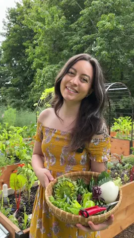 This was kind of a random harvest, what should I do with an immature sunflower head…?!🌻 🌻 #gardenharvest #harvesttime #harvestingveggies #harvestingtime #harvestingvideos #harvestingvegetables 